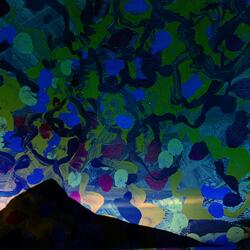 Dance of the Silver Lilies