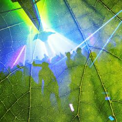 Sonic Sounds  Lost in the Groove