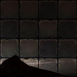 Awe of the Majestic Tree Tops