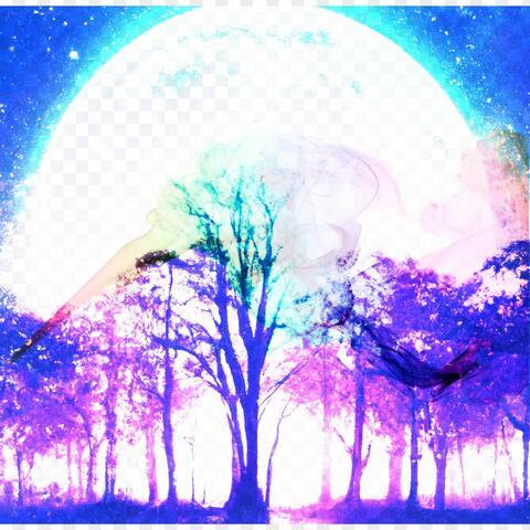 Draped in Moonbeams