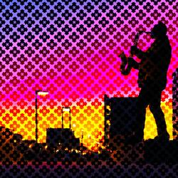 Nocturnal Beats in the Dreamscape