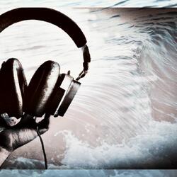 Voices Behind the Board