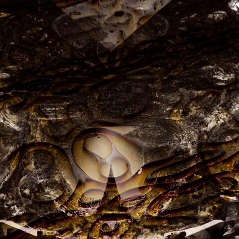 Beneath the Starlit Canopy