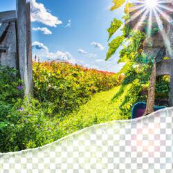 Bountiful Fields Under the Sun