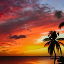 Rhythm and Vibes Caribbean Groove