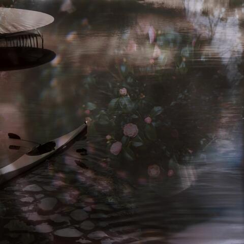 Caress of the Water Lilies