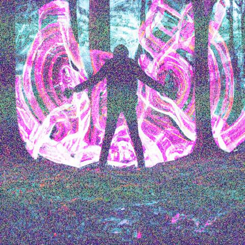 Vibrations of the Universe