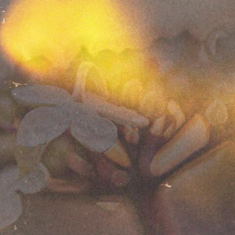 Hymns of the Heavenly Host