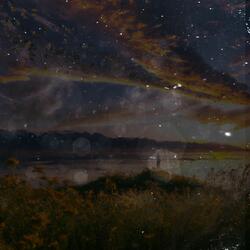 Enlightenment in the Song of Sparrows