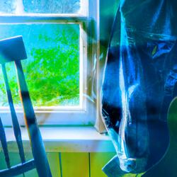 Parisian Cafes and Strumming Lounges