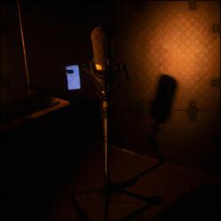 Lost in Digital Love