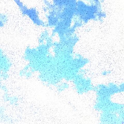 Rhapsody in Blue Jeans