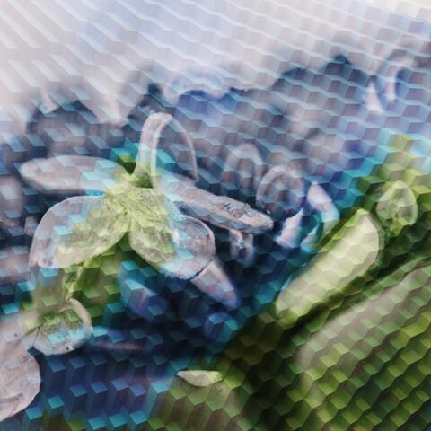 Eternal Echoes in Cathedrals