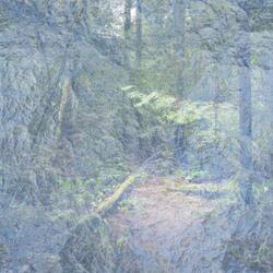 Reflections in Lucid Dreaming