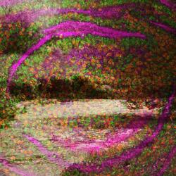 Echoes Through the Riverbed