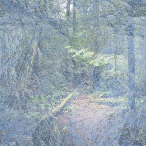 Echoes of the Subconscious
