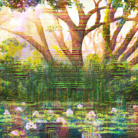 Blank Canvas Symphony