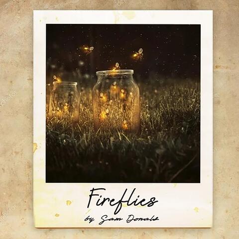 Fireflies