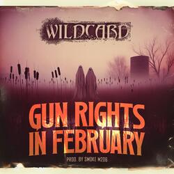 Gun Rights in February
