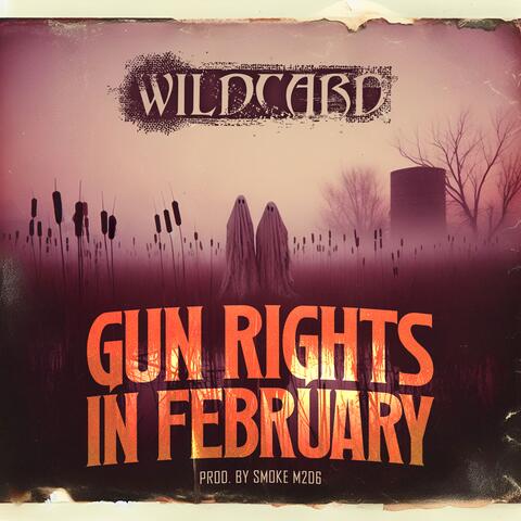 Gun Rights in February