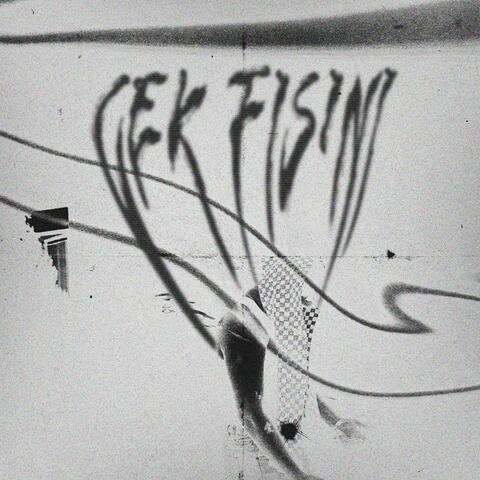 Çek Fişini