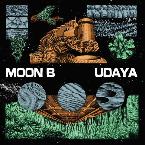 Udaya