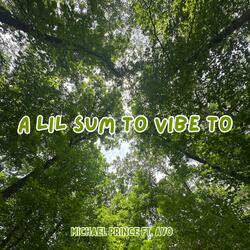 A Lil Sum to Vibe To