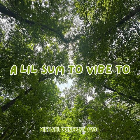 A Lil Sum to Vibe To