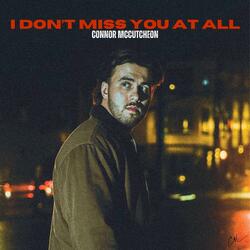 I Don't Miss You at All