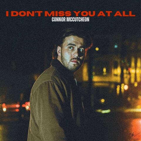 I Don't Miss You at All