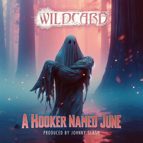 A H**ker Named June