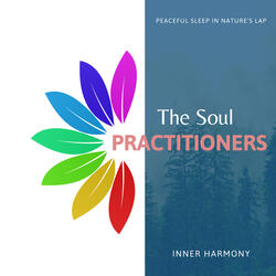 The Soul Catcher