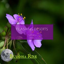 Flashing Deserts