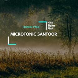 Microtonic Santoor