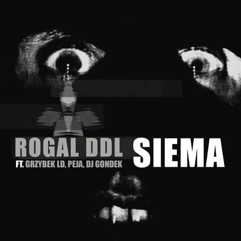 Siema