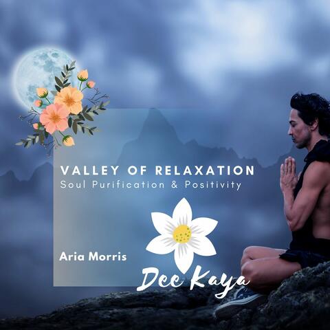 Valley Of Relaxation - Soul Purification & Positivity