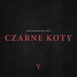 Czarne Koty
