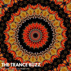 Anjunaa (EDM Festival Psytrance)