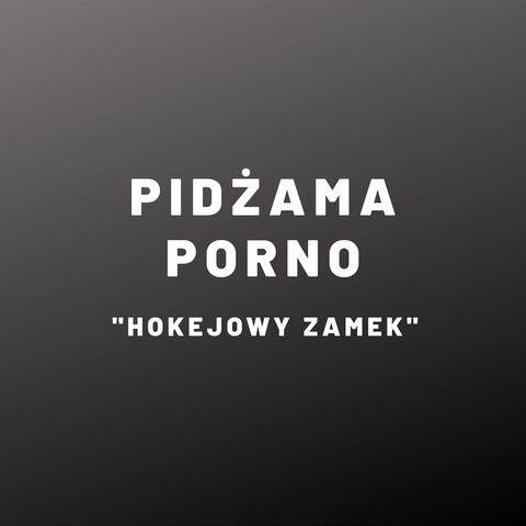 Hokejowy Zamek