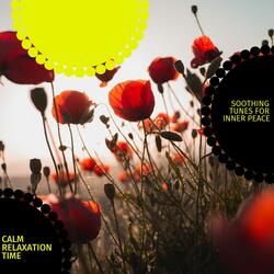Channelize The Soul (Music For Therapy And Healing)