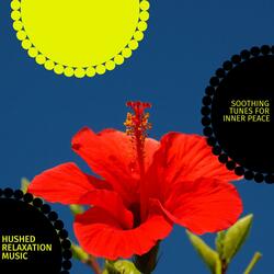 Channelize The Soul (Music For Therapy And Healing)