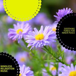 Refer To The Supreme