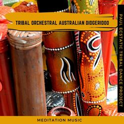 Australian Orchestral Didgeridoo
