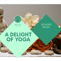 Channelize The Soul (Music For Therapy And Healing)