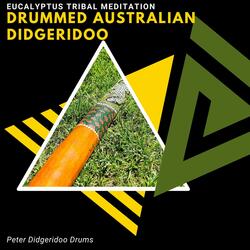 Didgeridoo Electronica (Bass Synth Fx)