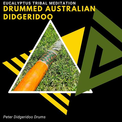 Drummed Australian Didgeridoo - Eucalyptus Tribal Meditation