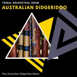 Tribal Orchestra (Didgeridoo Fusion)