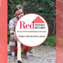 The Tribal Drumming Meditation (Australian Didgeridoo)
