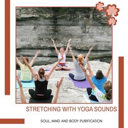 Refer To The Supreme