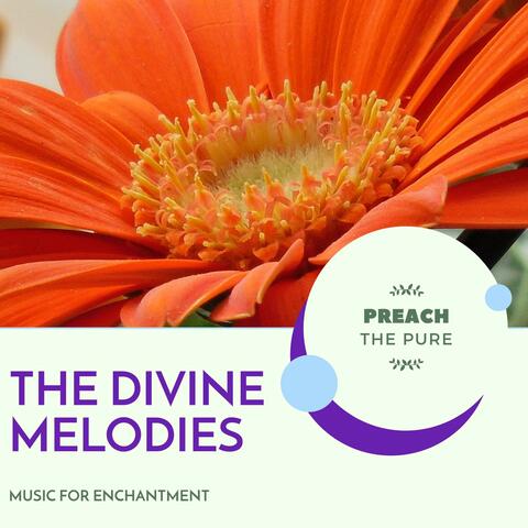 The Divine Melodies - Music For Enchantment